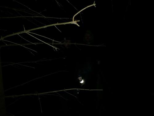 IMG 20181117 183748