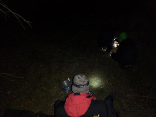 IMG 20181117 200130